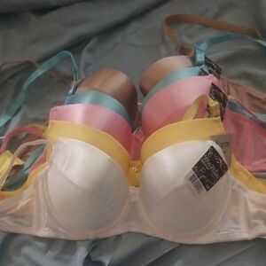 Mamia Multicolor Bra Collection